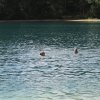 110719_Mollberg_068