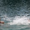 110719_Mollberg_071