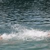 110719_Mollberg_072
