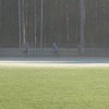 120115_CrossPapenburg_020