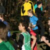 120115_CrossPapenburg_074